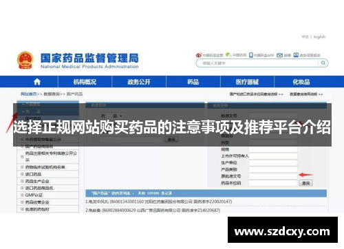 选择正规网站购买药品的注意事项及推荐平台介绍 选择正规网站购买药品的注意事项及推荐平台介绍