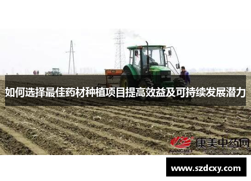 如何选择最佳药材种植项目提高效益及可持续发展潜力 如何选择最佳药材种植项目提高效益及可持续发展潜力