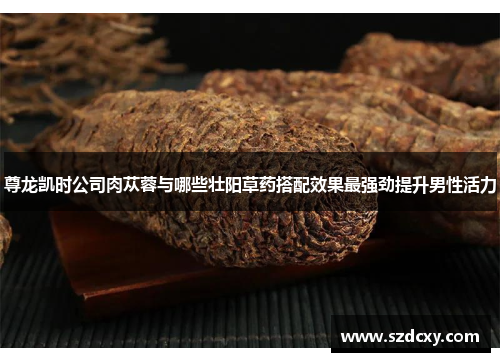 尊龙凯时公司肉苁蓉与哪些壮阳草药搭配效果最强劲提升男性活力 尊龙凯时公司肉苁蓉与哪些壮阳草药搭配效果最强劲提升男性活力